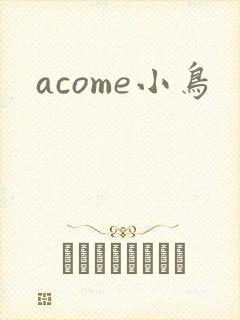 acome小鸟