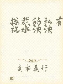 总裁的私有宝贝祸水泱泱