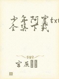 少年阿宾txt全集下载