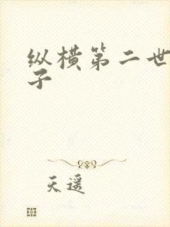 纵横第二世界宽子