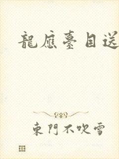 龙应台目送