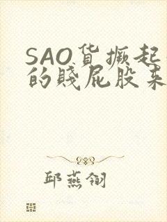 SAO货撅起你的贱屁股来