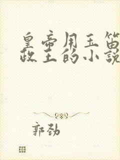 皇帝用玉笛整摄政王的小说