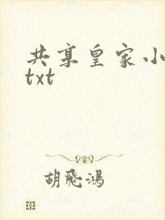 共享皇家小公主txt