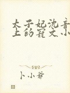 太子妃沈音和皇上的宠文小说