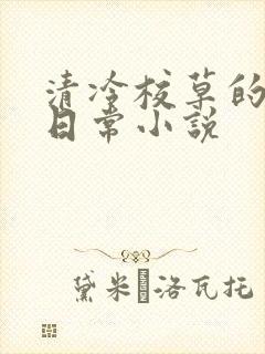 清冷校草的堕落日常小说