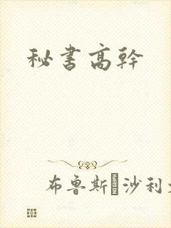 秘书高干
