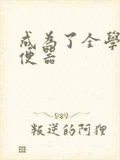 成为了全学校坐便器