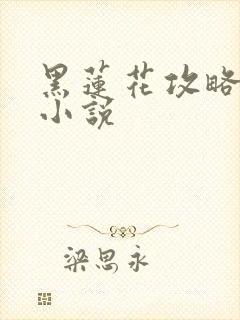 黑莲花攻略手册小说