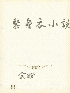 紧身衣小说