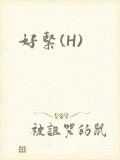 好紧(H)