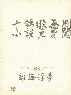 十锦缎无删原著小说免费阅读