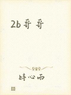 2b哥哥