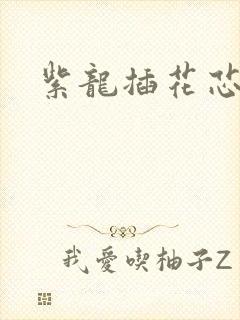 紫龙插花芯方正