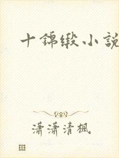 十锦缎小说