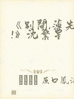 《别闹,薄先生!》沈繁星