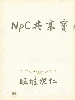 NpC共享宝贝