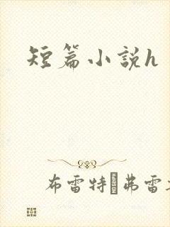短篇小说h