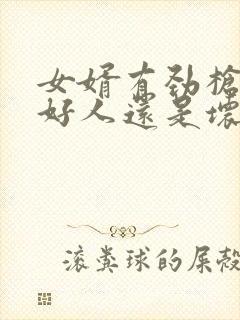 女婿有劲枪枪是好人还是坏人