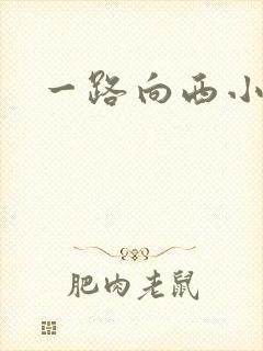 一路向西小说