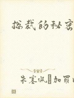 总裁的秘密情人