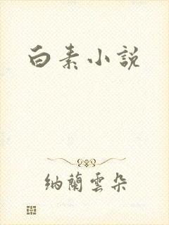 白素小说