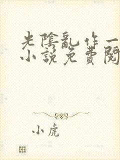 光阴乱作一团的小说免费阅读