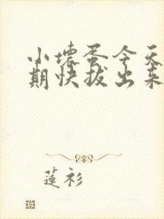 小坏蛋今天危险期快拔出来