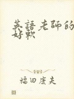 英语老师的兔子好软