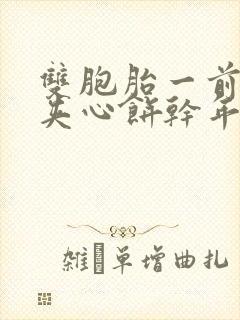 双胞胎一前一后夹心饼干年下