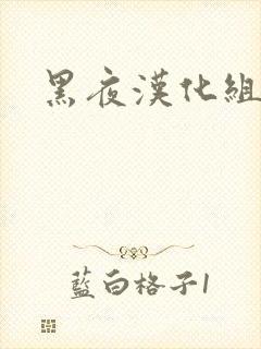 黑夜汉化组