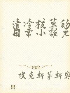 清冷校草的堕落日常小说免费阅读