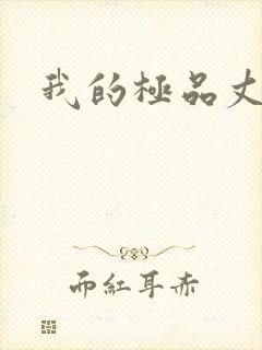 我的极品丈母娘