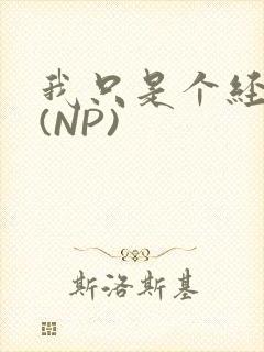 我只是个经纪人(NP)