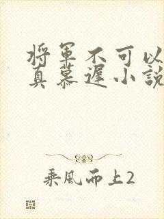 将军不可以魏云真慕迟小说笔趣阁