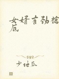 女婿有劲枪枪到底