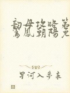 韵母攻略第二部鸾凤朝阳免费阅读