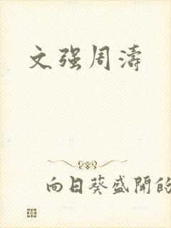 文强周涛