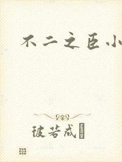 不二之臣小说