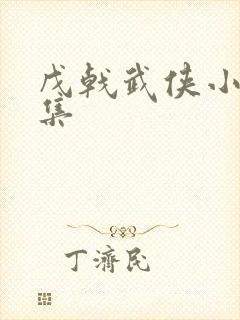 戊戟武侠小说全集