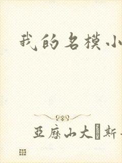 我的名模小娇妻