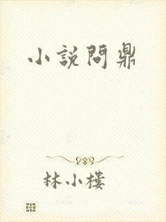 小说问鼎