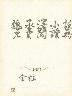 魏承泽小说全文免费阅读无弹窗笔趣