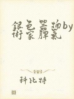 银色器物by艺术家脾气