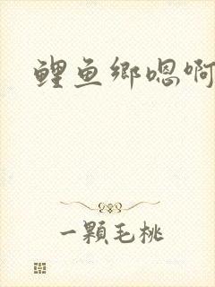 鲤鱼乡嗯啊
