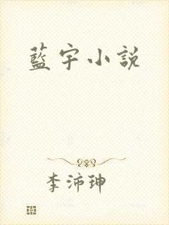 蓝宇小说
