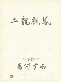 二龙戏凤