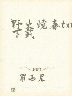 野火烧春txt下载