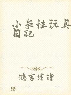 小米性玩具羞辱日记
