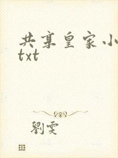 共享皇家小公主txt